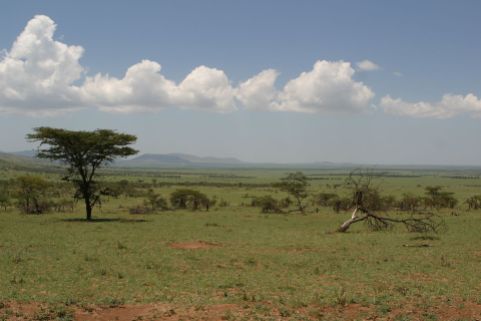 Serengeti - Grenze Kenia